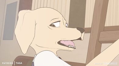 The Naughty Chocolate Lab - Tagalong