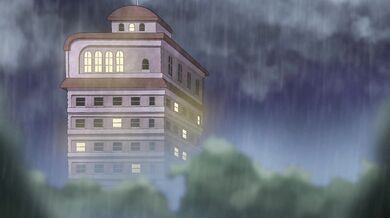 The Naughty Chocolate Lab - Tagalong