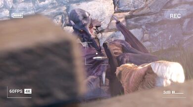 Ridley's Doggy-style Screwing with a Hot Labrador