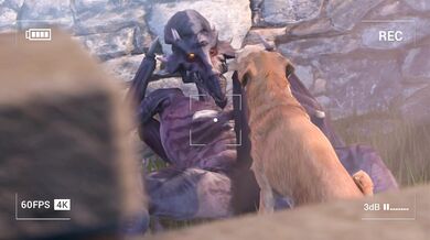 Ridley's Doggy-style Screwing with a Hot Labrador