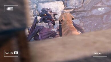 Ridley's Doggy-style Screwing with a Hot Labrador