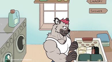 Bear-Hyena Laudromat