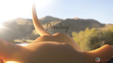 Slutty Cat on the Prowl: Pinklagoon