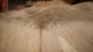 Crazy Creatures and Steamy Sauna Sessions in 'Kerpali Wild Life'