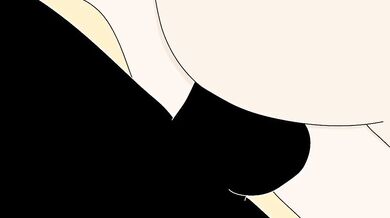 Shiro and Aka Part 2: The Revenge of the White and Red