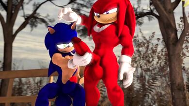 Knuckles the Echidna Gives Sonic a Fist-Fucking Blowjob