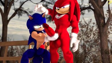Knuckles the Echidna Gives Sonic a Fist-Fucking Blowjob