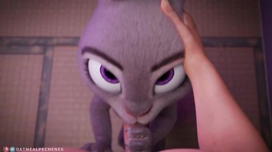 Judy's Blowjob Adventures