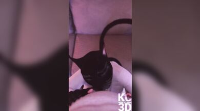Asian Beauty Gives a Blowjob from Your Point of View - 3D Virtual Reality Experience