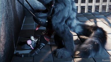 Tied Up and Tail-Furred: A Bondage Bare-All