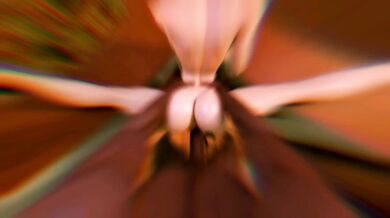 H FACTORY's Metamorphosis: A Tale of Sexual Transformation