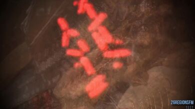 Exploring Unknown Pleasures on Planet 10 [Work in Progress with 26 Regions of SF-style Sexuality]