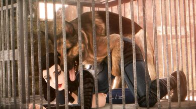 Lustful Lizzie's Anal Expedition with Nameless Stranger