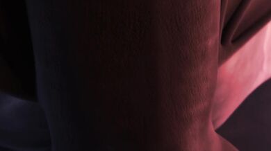 Unleashing the Beast: A Dragon's Bred For Pleasure