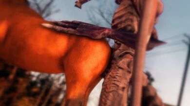Ridley's Bestiality Adventure with a Horse Outside