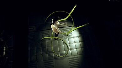 Sexual Exploration and Torture in the Lab