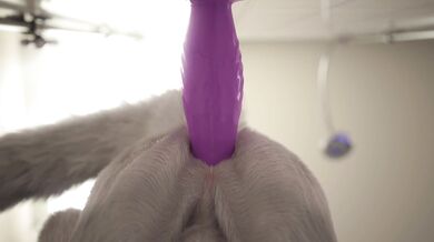 Dragon Banged