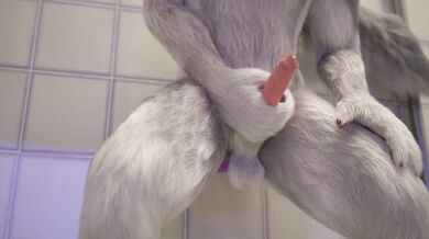 Dragon Banged
