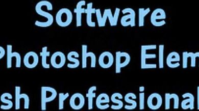 Sweet Creampie Delight