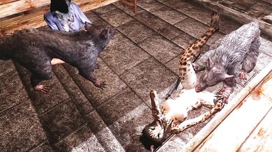 The Erotic Adventures of Two Horny Khajiit in a Sacred Temple