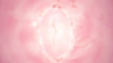 Princess Peridot's Full and Flawless Figure