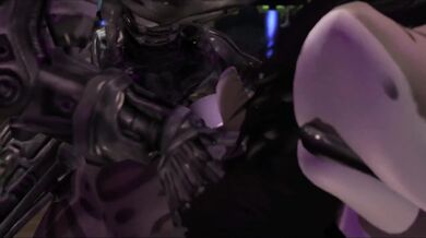 Beyond the Void: The Rise of Kira Yamato's Harem