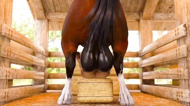Stable Strength Training