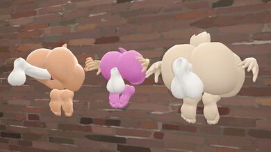 Asses Against The Wall