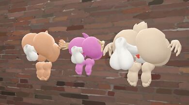 Asses Against The Wall