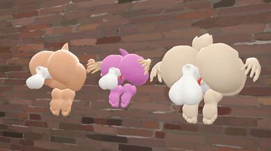 Asses Against The Wall