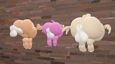 Asses Against The Wall