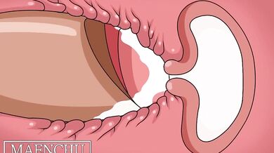 Monster Girl's Haram Daily