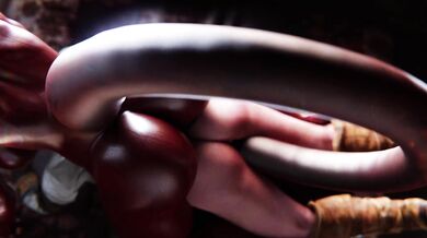 Ciri and the Succubus' Scrappy Fuck Fest