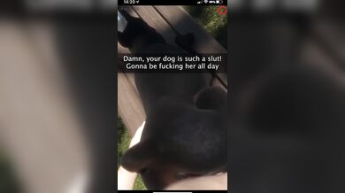 Doggone it! You got a Snapchat from the pooch-sitter!