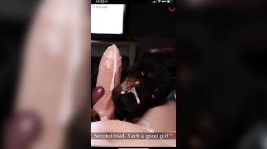 Doggone it! You got a Snapchat from the pooch-sitter!