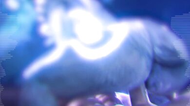 // FAMILY AFFAIR // XXX VIDEO //