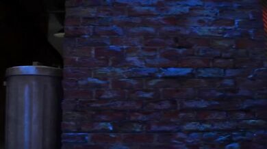 Night of the Hard Dick: The Full Video Experience