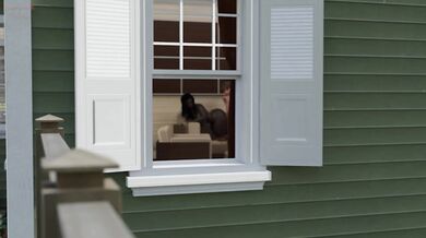 Banging the Next Door Hottie [Something Different]