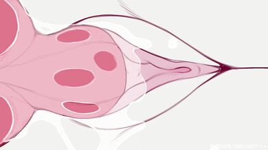 The Sexual Adventures of Sylveon and Lucario!