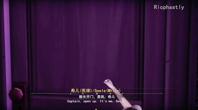 The Fallen Path of Seele Part 1: The Beginning of the End