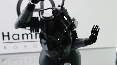 Tits and Ass: A Study in Sexuality