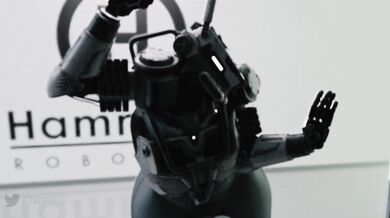 Tits and Ass: A Study in Sexuality