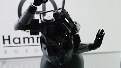 Tits and Ass: A Study in Sexuality