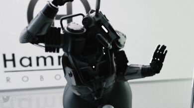 Tits and Ass: A Study in Sexuality