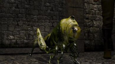 Sexy Saki's Hunting Adventures!