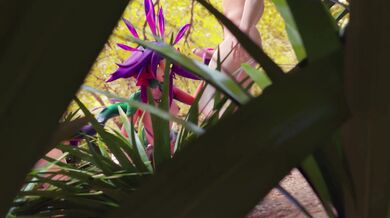 Neko: The XXX Adventure [Ultra HD] [Smooth Gameplay]