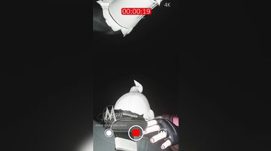 Selfie Slut: A Black Cat's Obsession