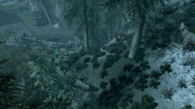 The Druidess - Trailer could be rewritten as Ancient Rituals of Sexual Magic: The Druidess - Official Trailer.