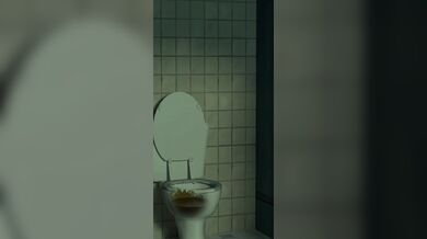 - Ada Wong's Toilet Adventure