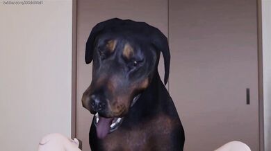 A Canine Encounter with Gwen: Hot doggy style action.